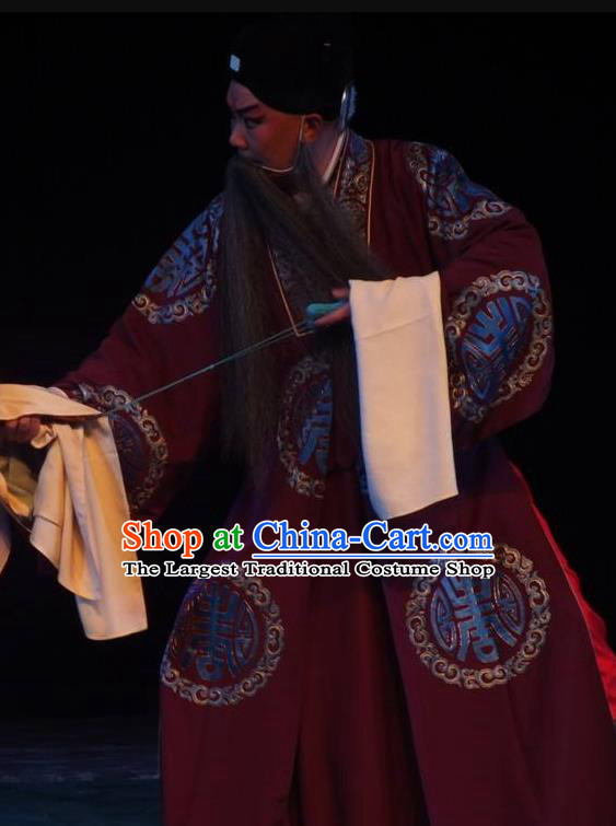 Chinese Classical Kun Opera Elderly Male Apparels Injustice of Dou E Peking Opera Landlord Costumes Garment and Headwear