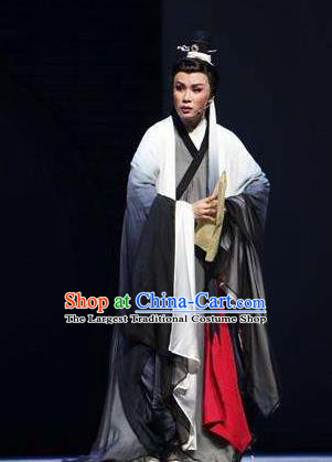 Wu Yi Lane Chinese Yue Opera Young Male Wang Huizhi Costumes Apparels and Headwear Shaoxing Opera Xiaosheng Scholar Garment Clothing