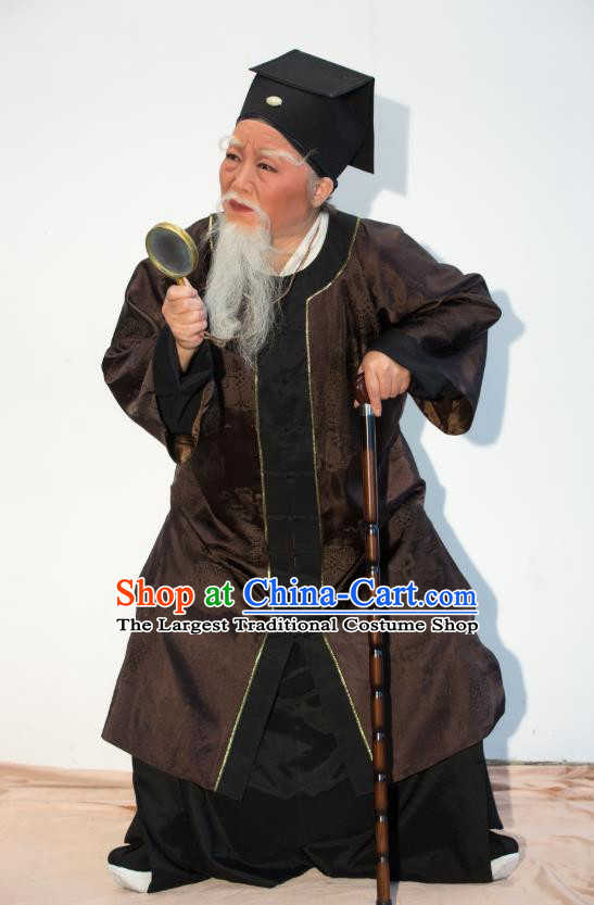 Chinese Yue Opera Old Physician Costumes and Headwear Ren Heart Medicine Shaoxing Opera Laosheng Elderly Male Garment Apparels