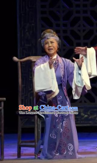 Chinese Shaoxing Opera Countess Dress Baozheng Tears Hua Tan Costumes and Headdress Yue Opera Dame Garment Elderly Woman Apparels
