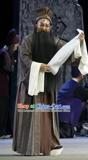Chinese Yue Opera Elderly Male Baozheng Tears Apparels and Hat Shaoxing Opera Laosheng Garment Costumes