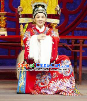 Tuan Yuan Zhi Hou Chinese Yue Opera Number One Scholar Apparels and Hat Shaoxing Opera Xiaosheng Garment Costumes Official Vestment