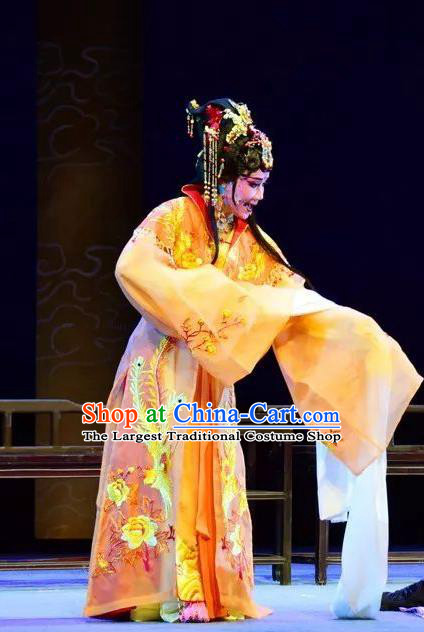 Chinese Shaoxing Opera Princess Dress Costumes and Headdress Xianglian Case Yue Opera Hua Tan Garment Apparels