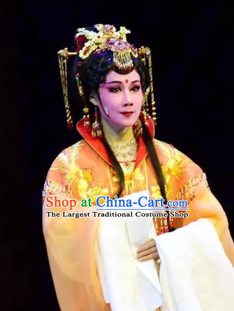 Chinese Shaoxing Opera Princess Dress Costumes and Headdress Xianglian Case Yue Opera Hua Tan Garment Apparels