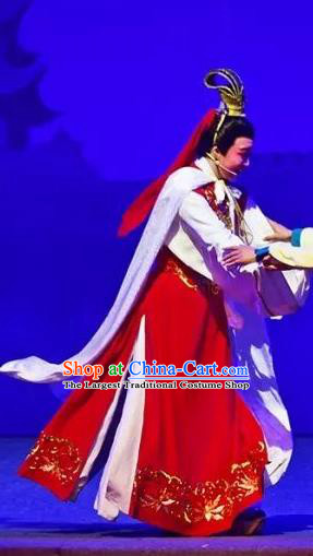 Chinese Yue Opera Xiao Sheng Apparels and Headwear Hu Po Yuan Shaoxing Opera Young Male Scholar Wan Zi Garment Costumes