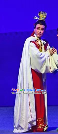 Chinese Yue Opera Xiao Sheng Apparels and Headwear Hu Po Yuan Shaoxing Opera Young Male Scholar Wan Zi Garment Costumes