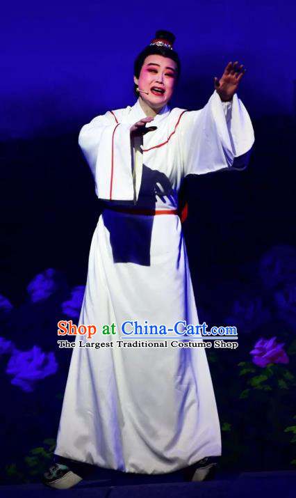 Chinese Yue Opera Scholar Wan Zi Apparels and Headwear Hu Po Yuan Shaoxing Opera Xiao Sheng Young Male Garment Costumes