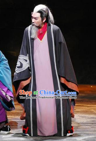The Orphan of Zhao Chinese Yue Opera Laosheng Garment and Headwear Shaoxing Opera Elderly Male Apparels Costumes