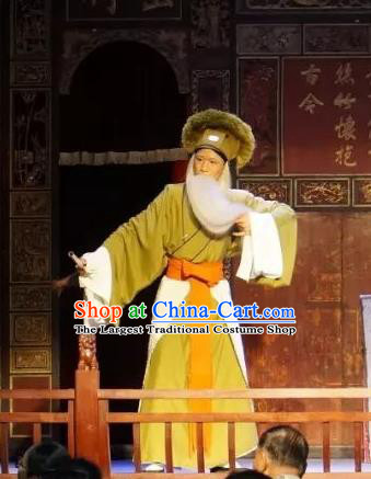 Bai Sui Gua Shuai Chinese Yue Opera Laosheng Apparels and Headwear Shaoxing Opera Elderly Male Garment Costumes