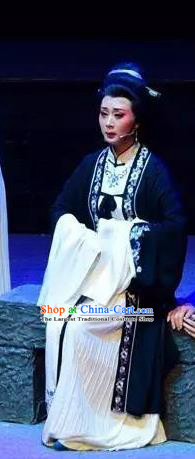 Chinese Shaoxing Opera Dame Yue Apparels Costumes and Headpieces Yue Opera Mrs Dayi Countess Dress Garment