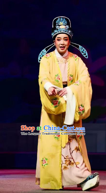 Yi Jian Zhong Qing Chinese Yue Opera Niche Garment Costumes and Headwear Shaoxing Opera Xiaosheng Scholar Qian Qing Apparels