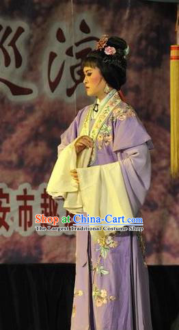 Chinese Shaoxing Opera Hua Tan Costumes Apparels and Headpieces Yue Opera Actress Purple Dress Garment