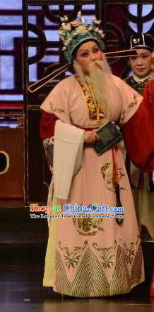 Mei Long Zhen Chinese Yue Opera Old Man Garment and Headwear Shaoxing Opera Elderly Chancellor Costumes