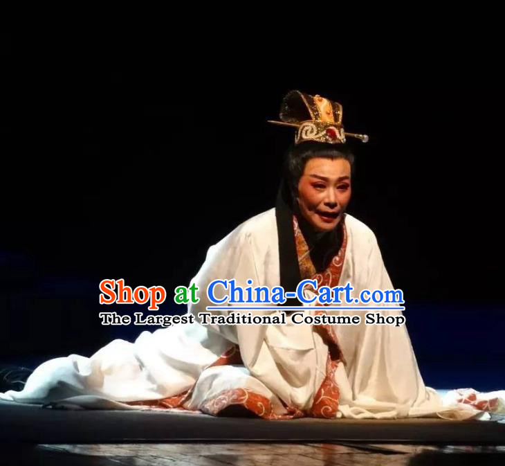 Chinese Yue Opera Xiaosheng Dong Wenbo Garment Clothing and Headwear Rong Hua Dream Shaoxing Opera Young Male Apparels Costumes