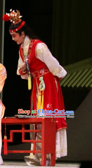 Dream of Red Mansions Chinese Kun Opera Young Childe Jia Baoyu Apparels Garment Costumes and Headwear Kunqu Opera Xiaosheng Red Clothing