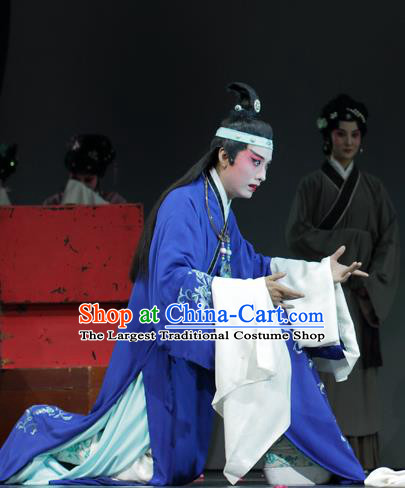 Chinese Kun Opera Apparels and Headwear Dream of Red Mansions Jia Baoyu Garment Costumes Kunqu Opera Young Male Purple Robe Clothing