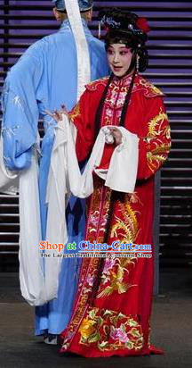 Chinese Kun Opera Diva Ruo Ye Red Apparels Costumes and Headpieces the Legend of Washing the Silk Gauze Kunqu Opera Hua Tan Wedding Dress Garment