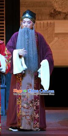 Chinese Kun Opera Apparels Garment Costumes and Headwear the Legend of Washing the Silk Gauze Kunqu Opera Laosheng Old Man Clothing