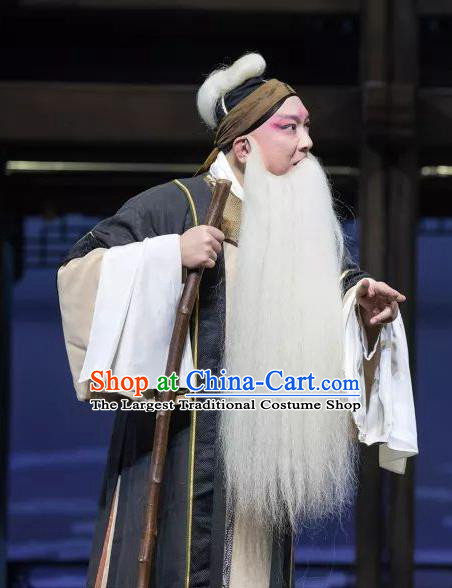 the Legend of Washing the Silk Gauze Chinese Kun Opera Elderly Male Apparels Garment Costumes and Headwear Kunqu Opera Old Man Clothing