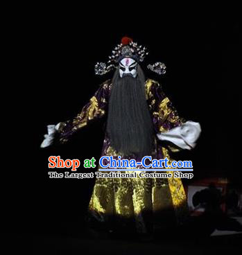 The Tale of Handan Chinese Kun Opera Laosheng Apparels and Headwear Kunqu Opera Garment Costumes Prime Minister Embroidered Robe