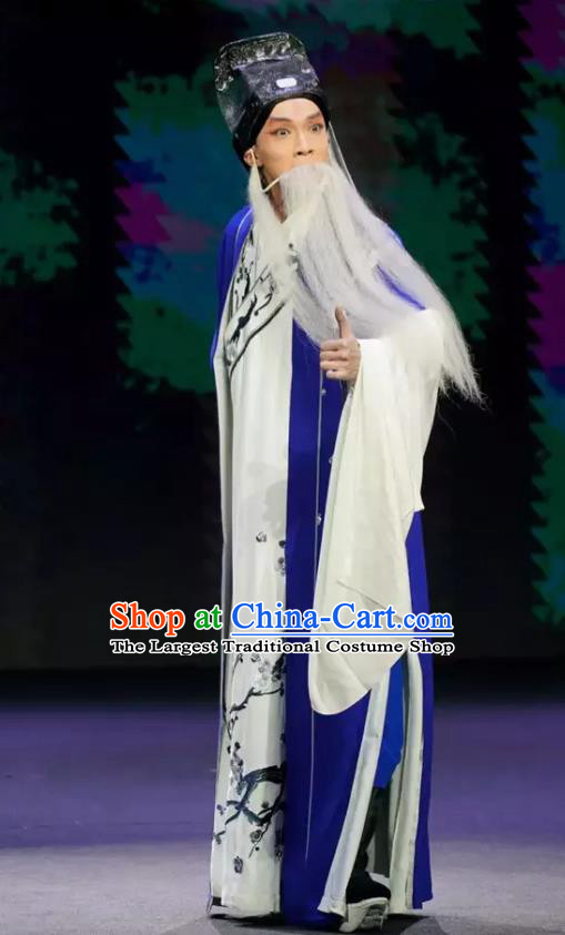 Gu Yanwu Chinese Old Man Apparels and Headwear Kunqu Opera Laosheng Garment Elderly Male Costumes