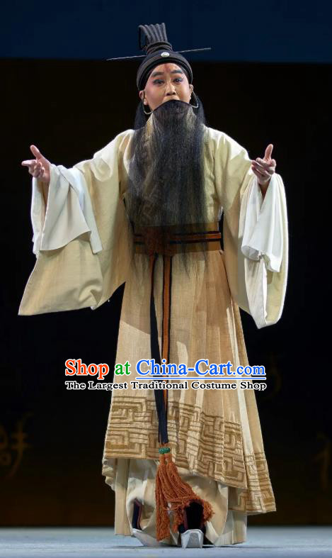 Confucius Chinese Kun Opera Laosheng Apparels and Headwear Kunqu Opera Elderly Male Garment Ideologist Costumes