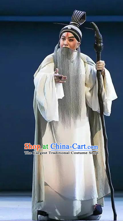 Chinese Kun Opera Laosheng Confucius Costumes and Headwear Kunqu Opera Garment Elderly Male Apparels