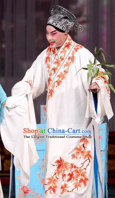 Dream in The Garden Chinese Kun Opera Young Scholar Liu Mengmei Costumes and Headwear Kunqu Opera Xiaosheng Garment Apparels