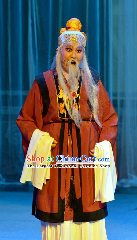 Chinese Yue Opera God of Land Apparels Pi Shan Jiu Mu Garment Shaoxing Opera Elderly Male Costumes and Headdress