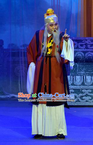 Chinese Yue Opera God of Land Apparels Pi Shan Jiu Mu Garment Shaoxing Opera Elderly Male Costumes and Headdress