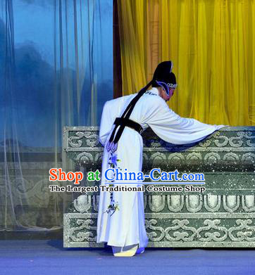 Chinese Yue Opera Scholar Liu Yanchang Apparels Pi Shan Jiu Mu Garment Shaoxing Opera Young Male Costumes Xiao Sheng White Embroidered Robe and Hat
