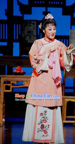 Chinese Huangmei Opera Young Mistress Li Niang Costumes Apparels and Headpieces Bu Yue Lei Chi Traditional Anhui Opera Female Dress Garment