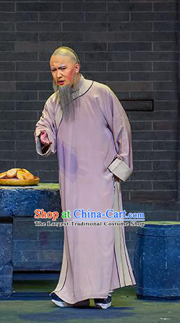 Chinese Huangmei Opera Old Man Zhang Tingyu Da Qing Prime Minister Apparels Costumes and Headwear Kunqu Opera Laosheng Garment Clothing