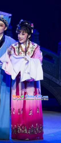 Chinese Shaoxing Opera Hua Tan Rich Lady Costumes The Pearl Tower Apparels Yue Opera Garment Actress Female Dress and Hair Accessories