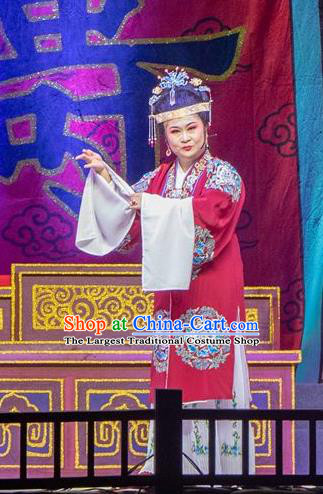 Chinese Shaoxing Opera Countess Rich Dame Costumes The Pearl Tower Apparels Yue Opera Garment Elderly Female Dress and Headdress