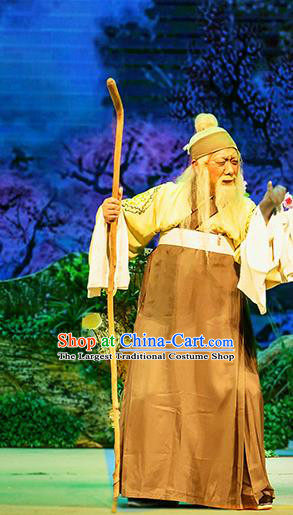 Chinese Huangmei Opera Old Man Goddess Marriage Apparels Costumes and Headwear An Hui Opera Elderly Male Garment Clothing