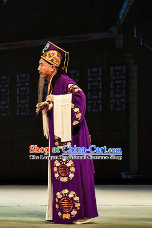 Chinese Huangmei Opera Elderly Man Garment Goddess Marriage Costumes and Headwear An Hui Opera Landlord Fu Apparels Clothing