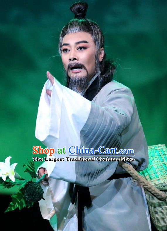Chinese Huangmei Opera Elderly Male Costumes and Headwear Li Shizhen An Hui Opera Apparels Pharmacist Clothing