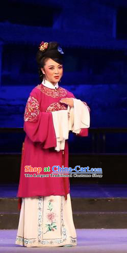 Chinese Huangmei Opera Rich Dame Costumes and Headdress Female Consort Prince Traditional Anhui Opera Countess Dress Garment Apparels