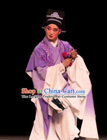 Luo Pa Ji Chinese Huangmei Opera Young Man Purple Costumes and Headwear An Hui Opera Steward Jiang Xiong Apparels Clothing