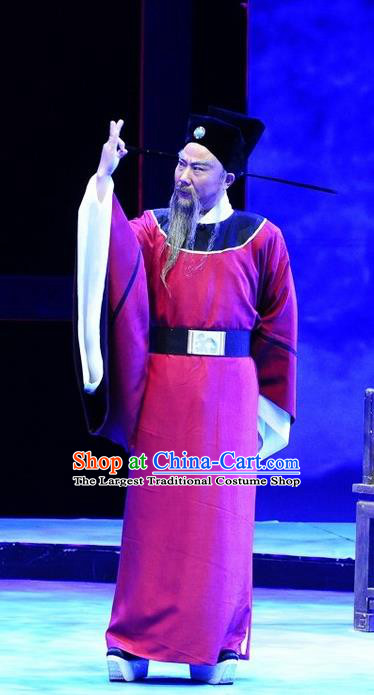 Chinese Huangmei Opera Song Dynasty Official Costumes and Headwear An Hui Opera Laosheng Apparels Elderly Man Poet Su Dongpo Clothing