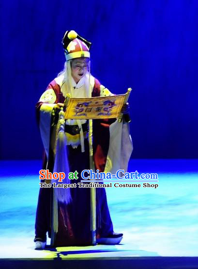 Chinese Huangmei Opera Laosheng Costumes and Headwear An Hui Opera Laosheng Apparels Elderly Man Court Eunuch Clothing