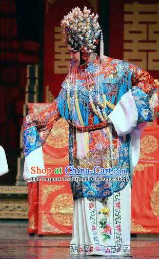 Chinese Huangmei Opera Court Princess Garment Costumes and Headdress Female Consort Prince Traditional Anhui Opera Actress Dress Apparels