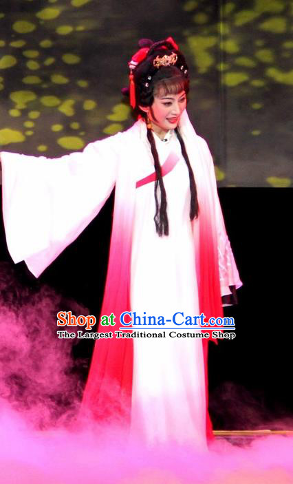 Chinese Huangmei Opera Young Lady Garment Costumes and Headpieces Su Dongpo Traditional Anhui Opera Hua Tan Dress Diva Apparels