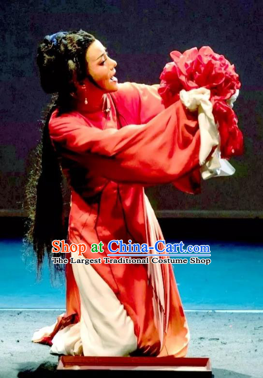 Chinese Huangmei Opera Xue Lang Gui Young Female Wang Baochuan Garment Costumes and Headpieces Traditional Anhui Opera Actress Red Dress Apparels