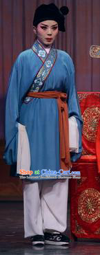 Chinese Huangmei Opera Young Boy Female Consort Prince Li Zhaoting Garment Costumes and Headwear An Hui Opera Livehand Apparels Clothing