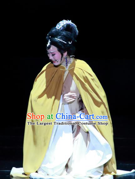 Chinese Huangmei Opera Taoist Nun Yu Zhen Costumes and Headpieces Taibai Drunk Traditional Anhui Opera Dress Actress Brown Garment Apparels