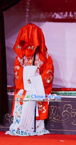 Chinese Shaoxing Opera Young Lady Wedding Dress The Jade Hairpin Yue Opera Garment Costumes Female Li Xiuying Apparels and Headpieces