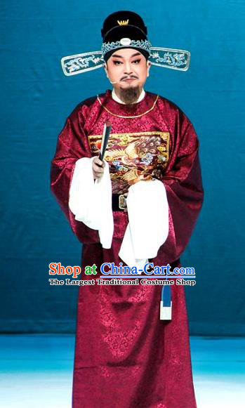 Chinese Huangmei Opera Official Censor Lady Costumes and Headwear An Hui Opera Elderly Male Apparels Minister Zuo Guangdou Clothing