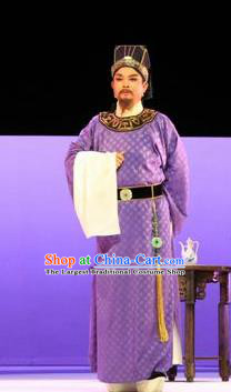 Chinese Huangmei Opera Elderly Male Censor Lady Costumes and Headwear An Hui Opera Apparels Landlord Clothing